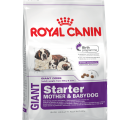 Royal Canin GIANT Starter